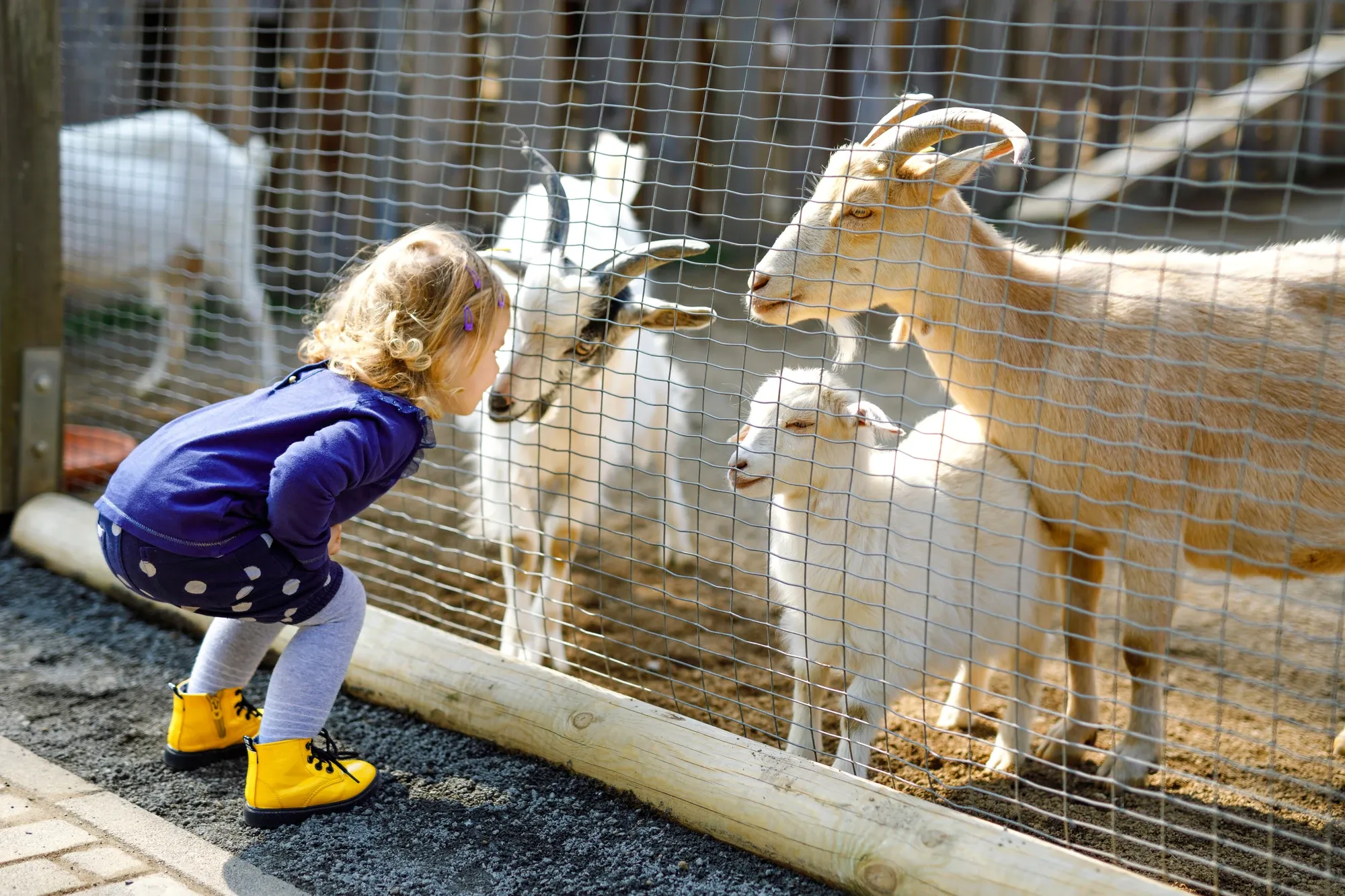 Events at Calvary Christian Preschool & Daycare